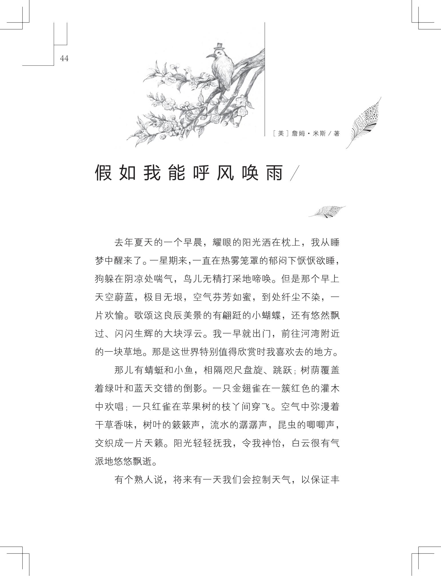 《做在大胡子里的鸟窝 》